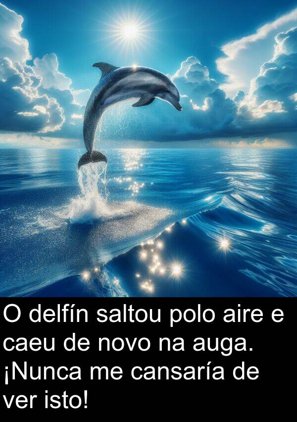 aire: O delfín saltou polo aire e caeu de novo na auga. ¡Nunca me cansaría de ver isto!