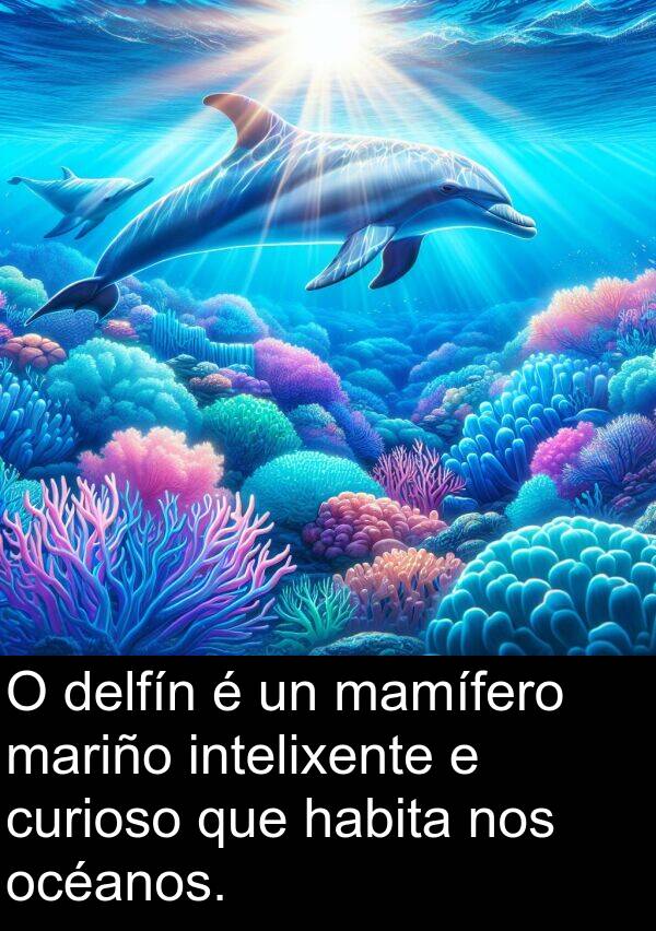 curioso: O delfín é un mamífero mariño intelixente e curioso que habita nos océanos.