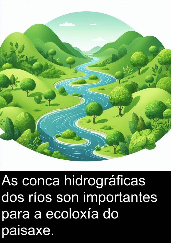 ríos: As conca hidrográficas dos ríos son importantes para a ecoloxía do paisaxe.