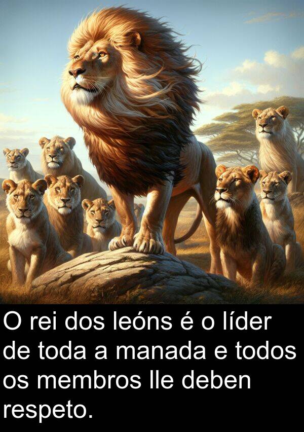 rei: O rei dos leóns é o líder de toda a manada e todos os membros lle deben respeto.