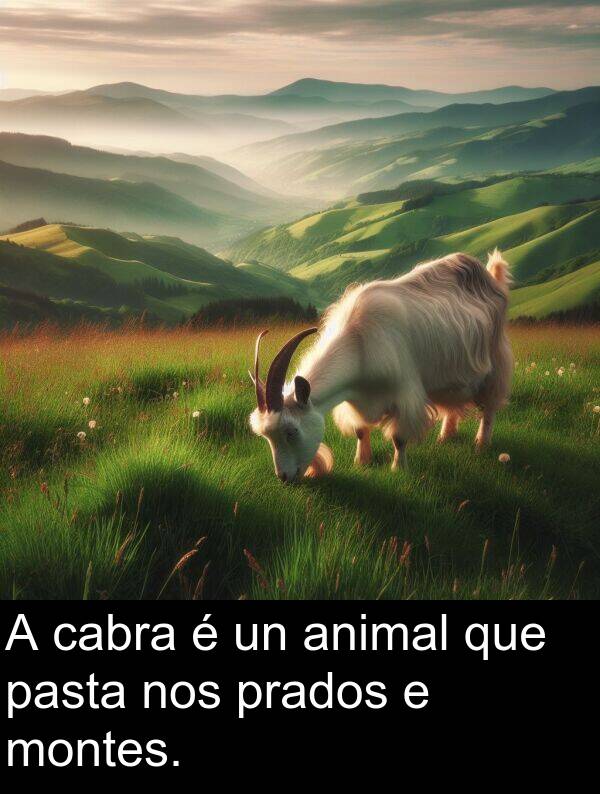 pasta: A cabra é un animal que pasta nos prados e montes.