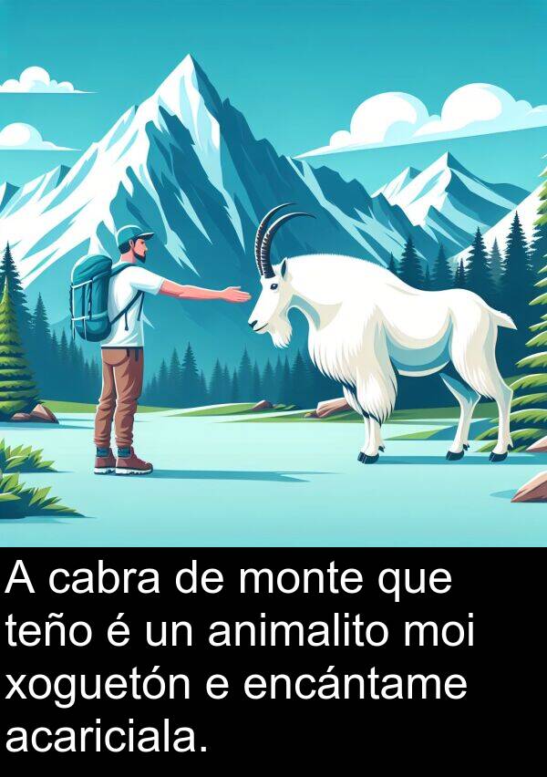 encántame: A cabra de monte que teño é un animalito moi xoguetón e encántame acariciala.