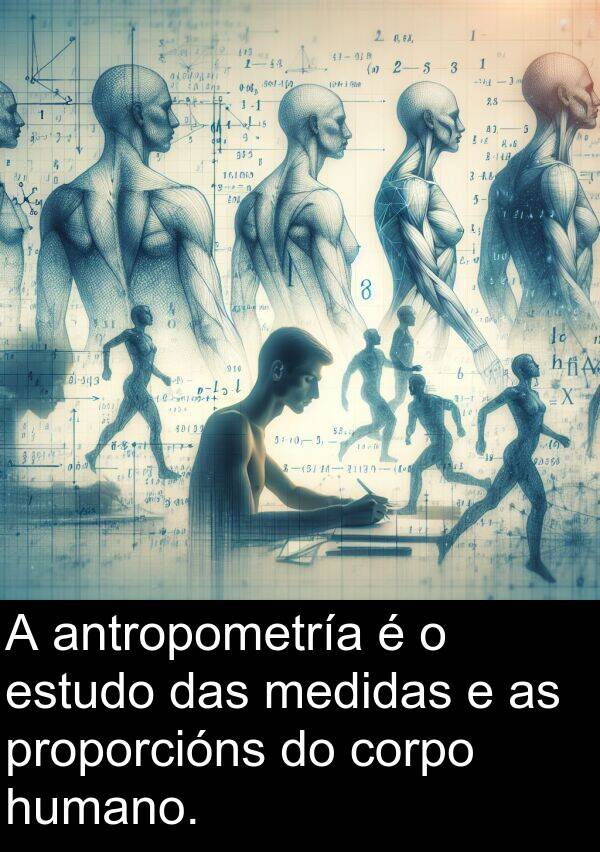 medidas: A antropometría é o estudo das medidas e as proporcións do corpo humano.