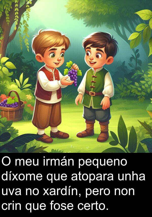 fose: O meu irmán pequeno díxome que atopara unha uva no xardín, pero non crin que fose certo.