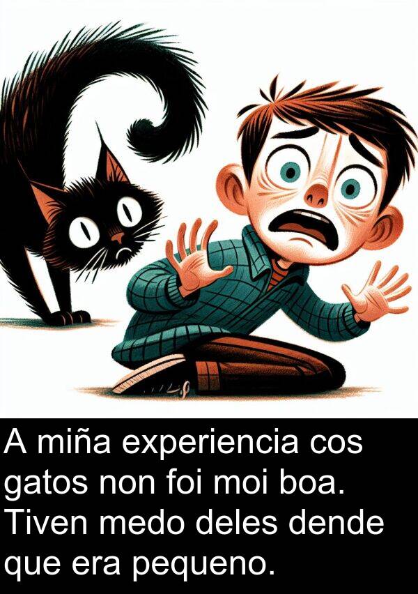 experiencia: A miña experiencia cos gatos non foi moi boa. Tiven medo deles dende que era pequeno.
