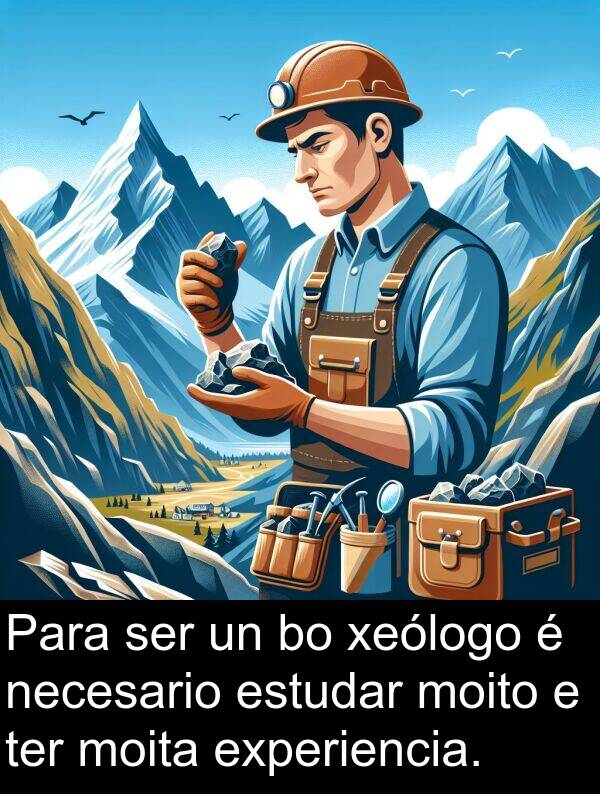 ter: Para ser un bo xeólogo é necesario estudar moito e ter moita experiencia.
