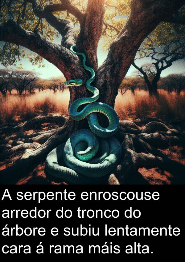 arredor: A serpente enroscouse arredor do tronco do árbore e subiu lentamente cara á rama máis alta.