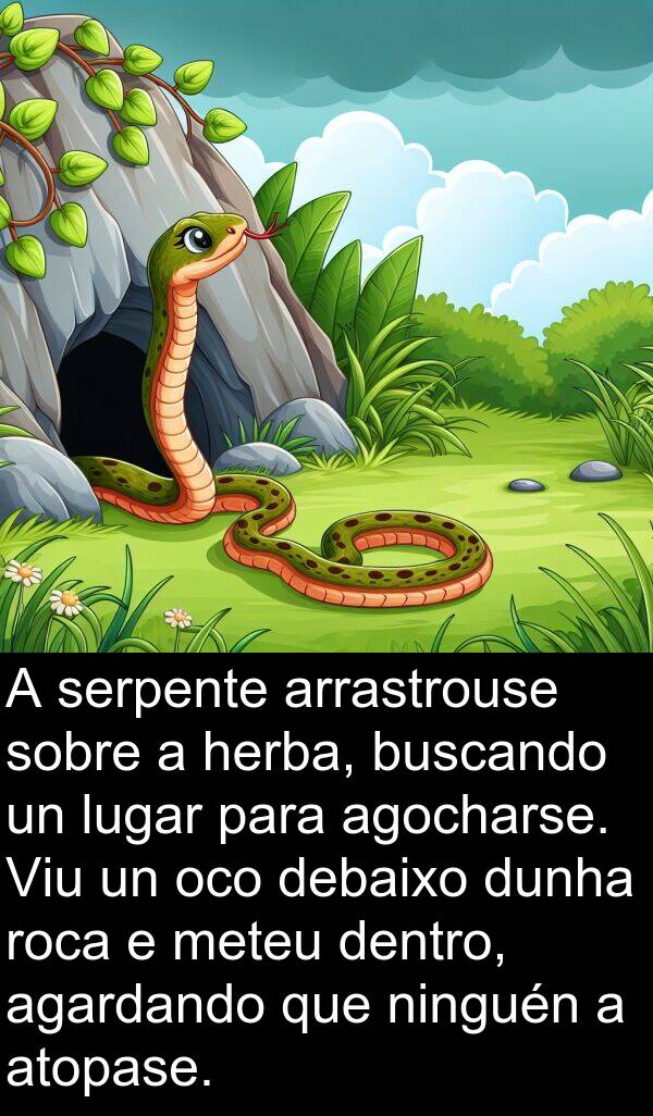 serpente: A serpente arrastrouse sobre a herba, buscando un lugar para agocharse. Viu un oco debaixo dunha roca e meteu dentro, agardando que ninguén a atopase.
