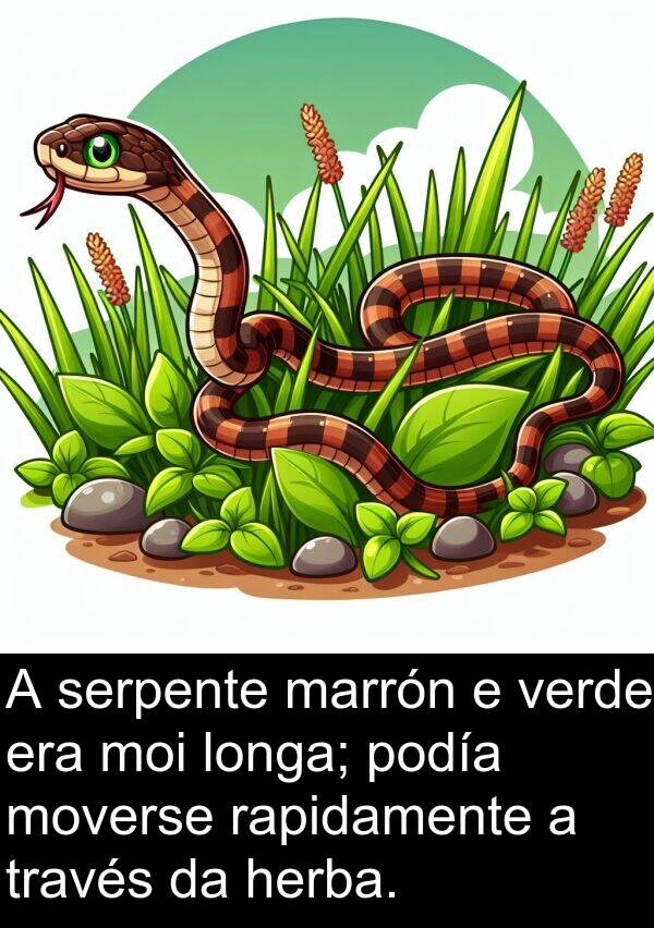 rapidamente: A serpente marrón e verde era moi longa; podía moverse rapidamente a través da herba.