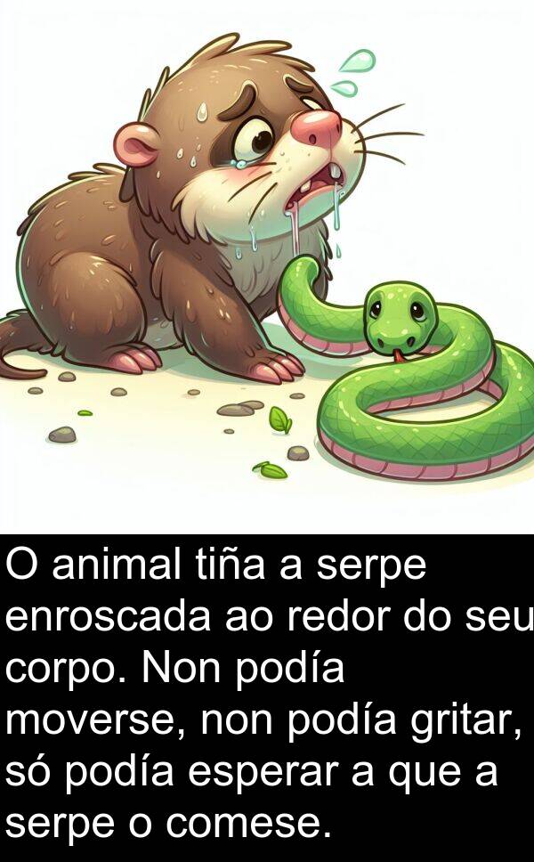 redor: O animal tiña a serpe enroscada ao redor do seu corpo. Non podía moverse, non podía gritar, só podía esperar a que a serpe o comese.