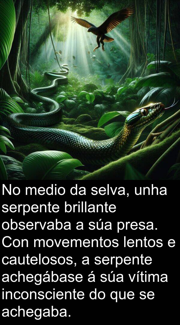 medio: No medio da selva, unha serpente brillante observaba a súa presa. Con movementos lentos e cautelosos, a serpente achegábase á súa vítima inconsciente do que se achegaba.