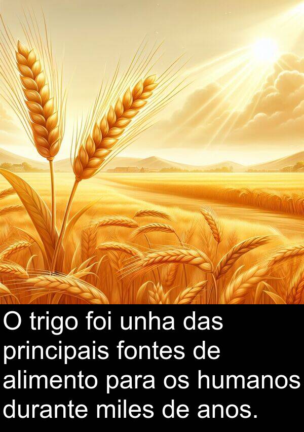 trigo: O trigo foi unha das principais fontes de alimento para os humanos durante miles de anos.