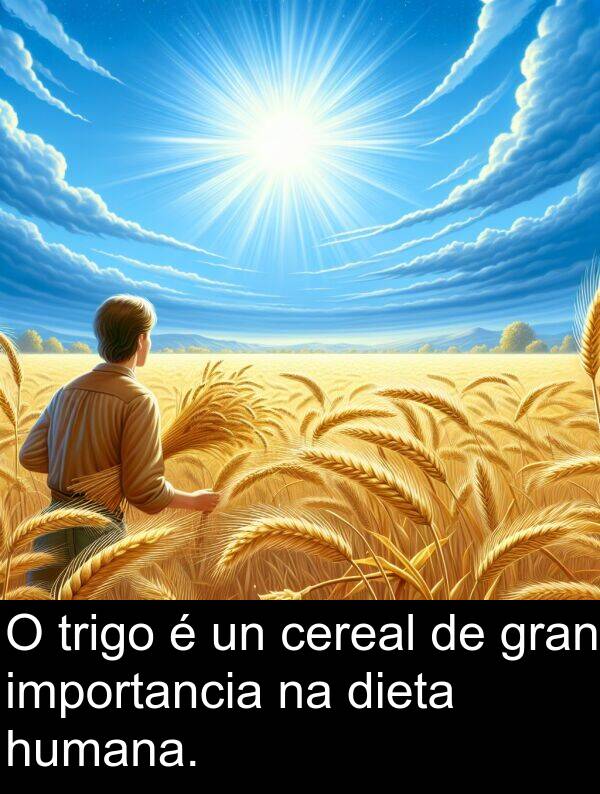 gran: O trigo é un cereal de gran importancia na dieta humana.