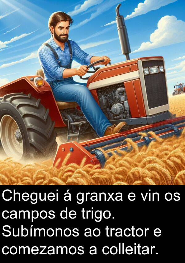 tractor: Cheguei á granxa e vin os campos de trigo. Subímonos ao tractor e comezamos a colleitar.