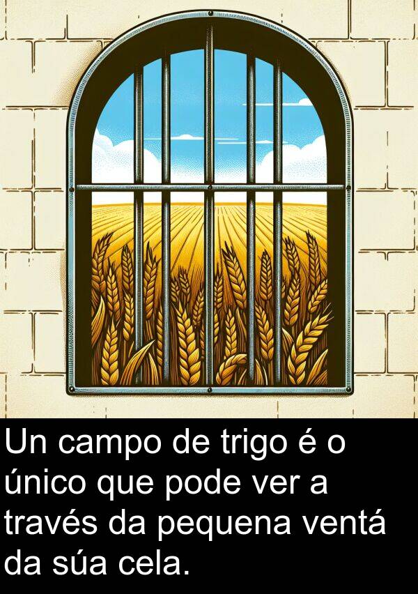 trigo: Un campo de trigo é o único que pode ver a través da pequena ventá da súa cela.