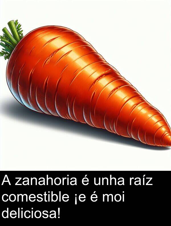 raíz: A zanahoria é unha raíz comestible ¡e é moi deliciosa!