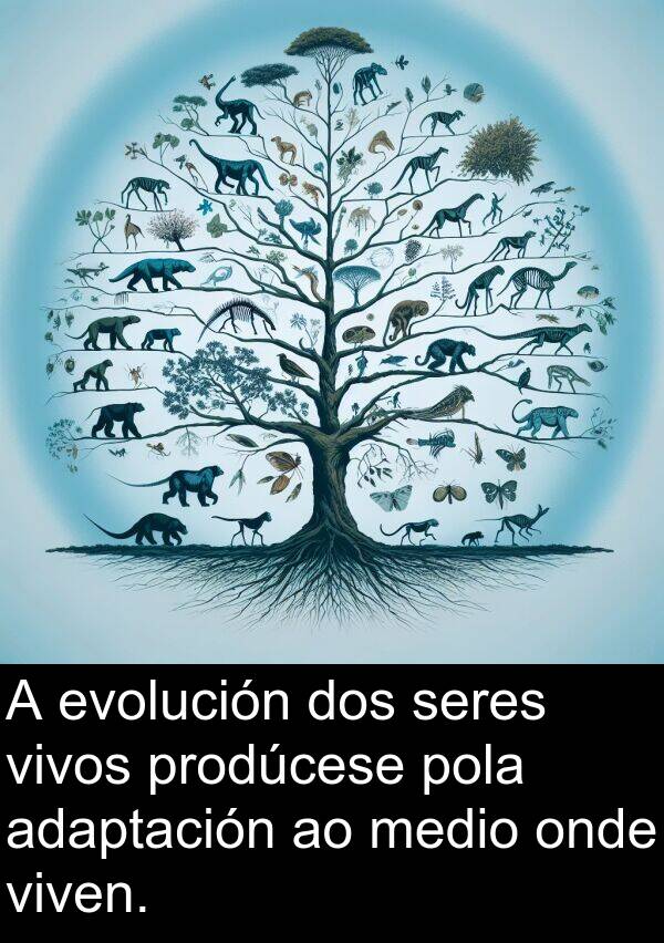 medio: A evolución dos seres vivos prodúcese pola adaptación ao medio onde viven.