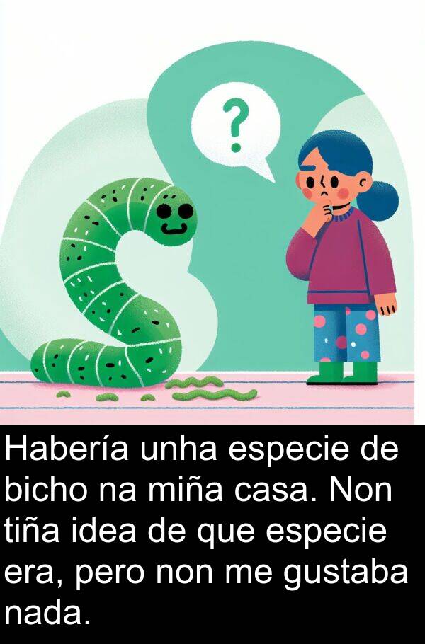 especie: Habería unha especie de bicho na miña casa. Non tiña idea de que especie era, pero non me gustaba nada.