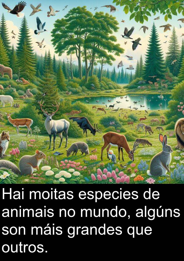 especies: Hai moitas especies de animais no mundo, algúns son máis grandes que outros.