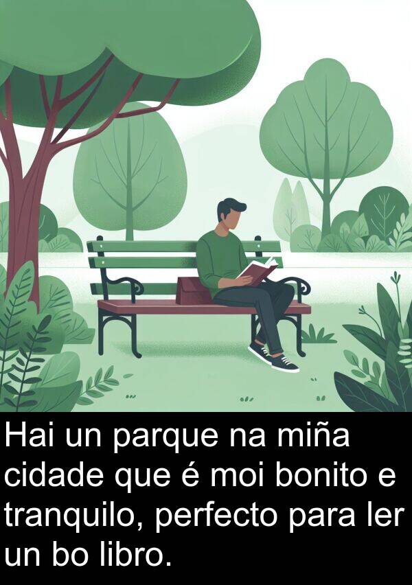 perfecto: Hai un parque na miña cidade que é moi bonito e tranquilo, perfecto para ler un bo libro.