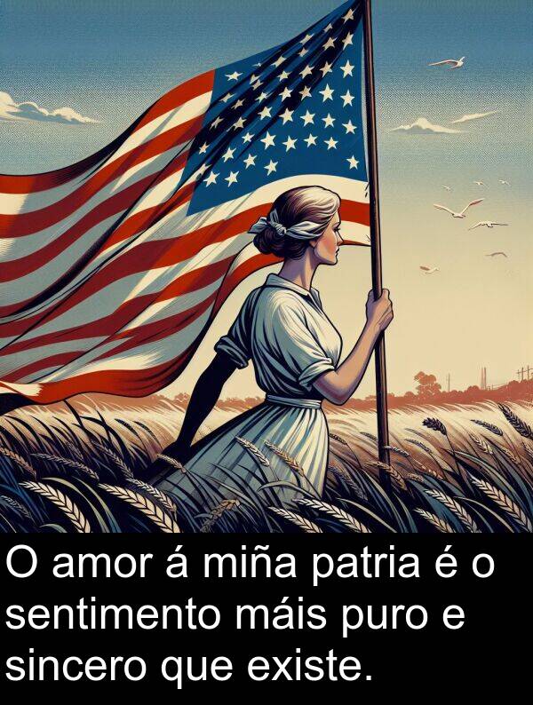existe: O amor á miña patria é o sentimento máis puro e sincero que existe.