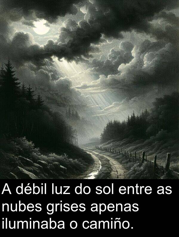 grises: A débil luz do sol entre as nubes grises apenas iluminaba o camiño.