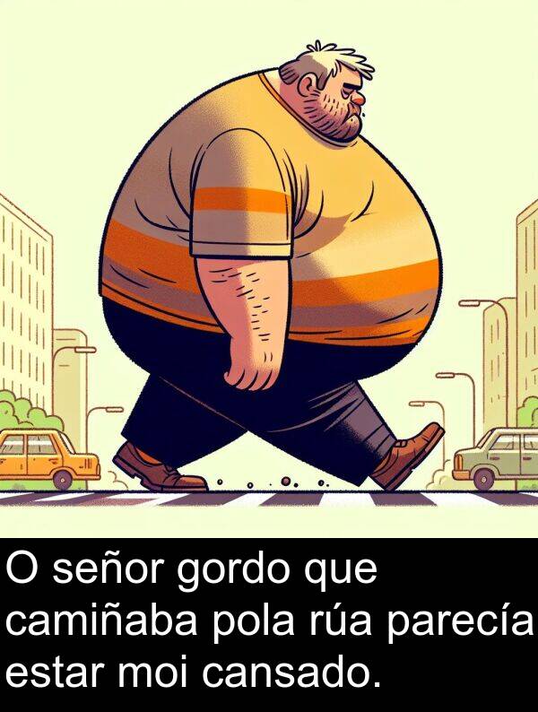 estar: O señor gordo que camiñaba pola rúa parecía estar moi cansado.