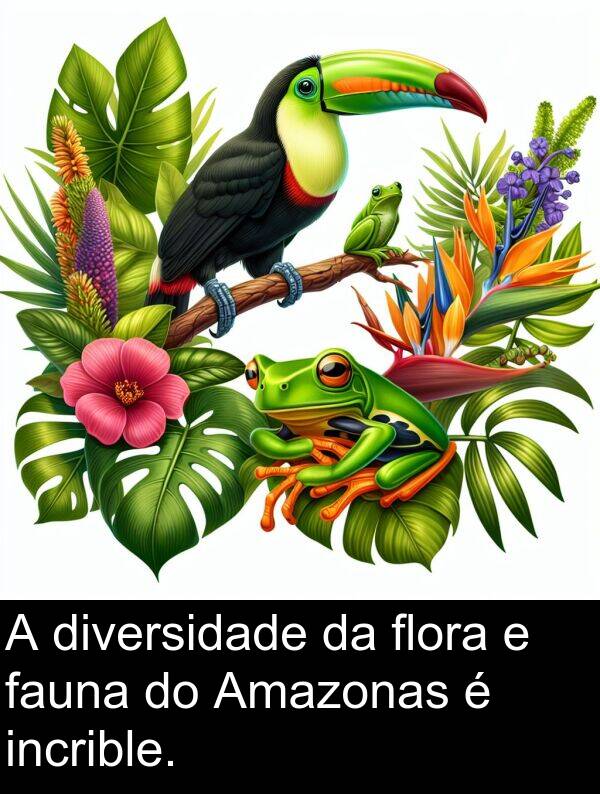 flora: A diversidade da flora e fauna do Amazonas é incrible.