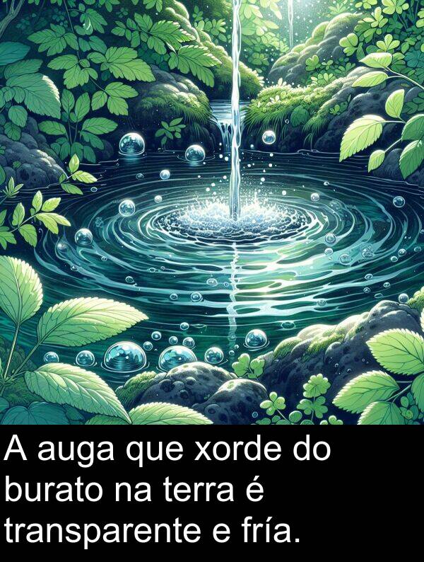 terra: A auga que xorde do burato na terra é transparente e fría.
