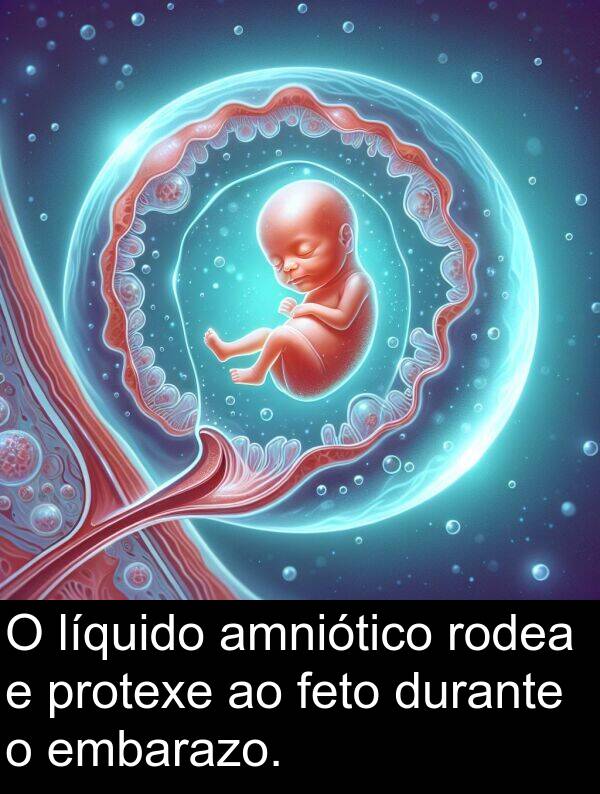 rodea: O líquido amniótico rodea e protexe ao feto durante o embarazo.