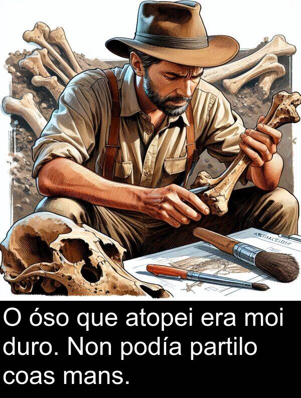 duro: O óso que atopei era moi duro. Non podía partilo coas mans.