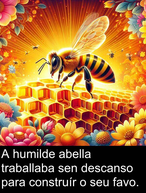 construír: A humilde abella traballaba sen descanso para construír o seu favo.