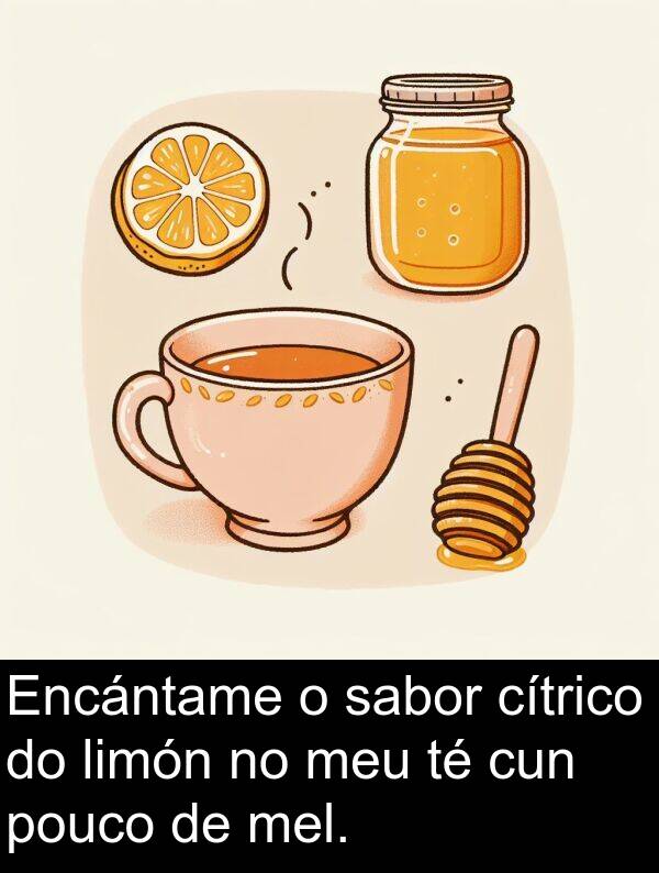 mel: Encántame o sabor cítrico do limón no meu té cun pouco de mel.