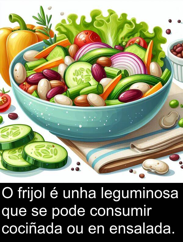 frijol: O frijol é unha leguminosa que se pode consumir cociñada ou en ensalada.