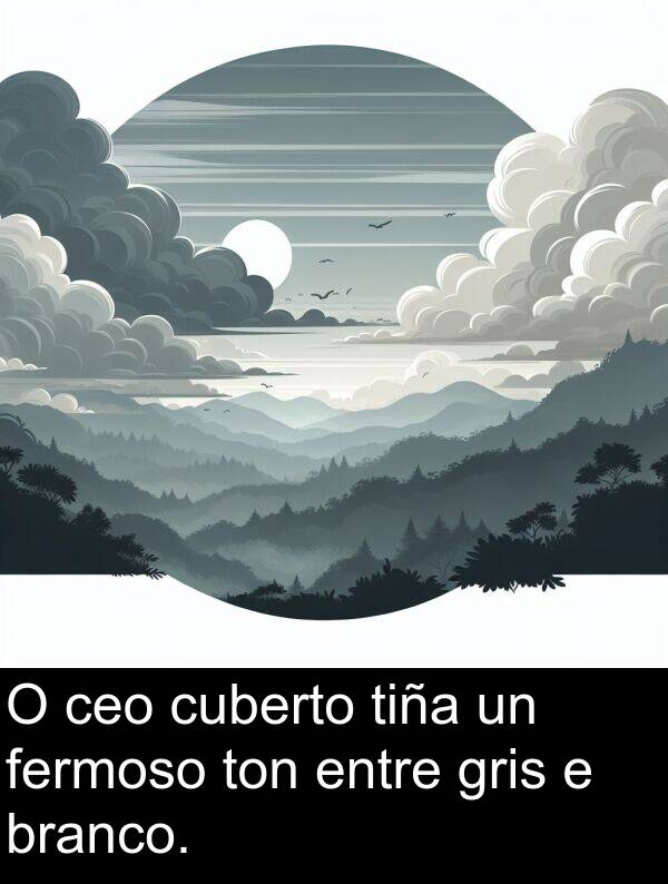 cuberto: O ceo cuberto tiña un fermoso ton entre gris e branco.