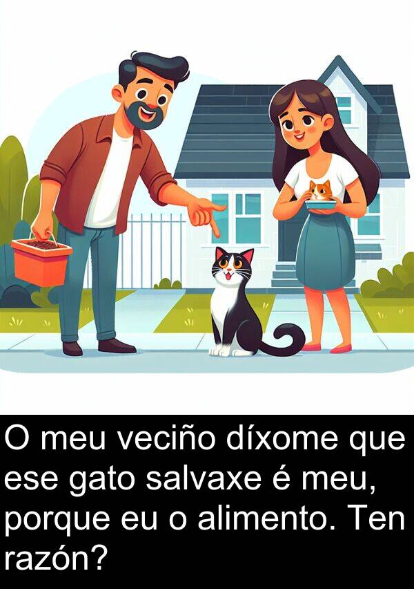 razón: O meu veciño díxome que ese gato salvaxe é meu, porque eu o alimento. Ten razón?