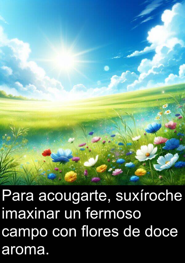 campo: Para acougarte, suxíroche imaxinar un fermoso campo con flores de doce aroma.