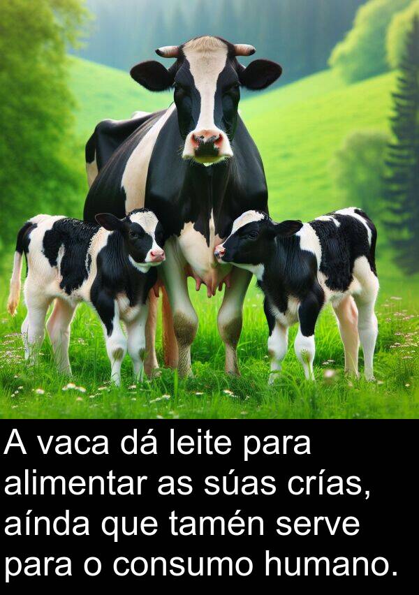 serve: A vaca dá leite para alimentar as súas crías, aínda que tamén serve para o consumo humano.