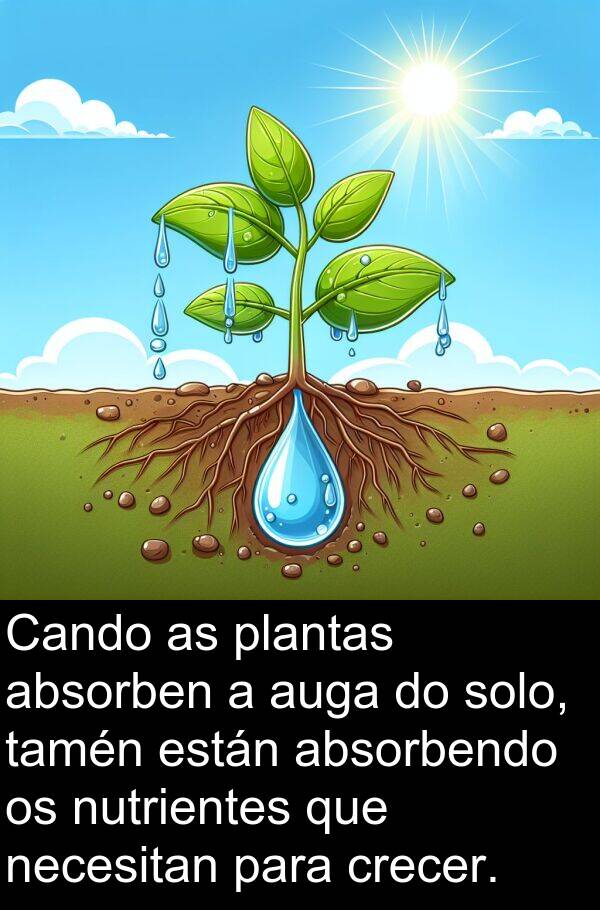 están: Cando as plantas absorben a auga do solo, tamén están absorbendo os nutrientes que necesitan para crecer.