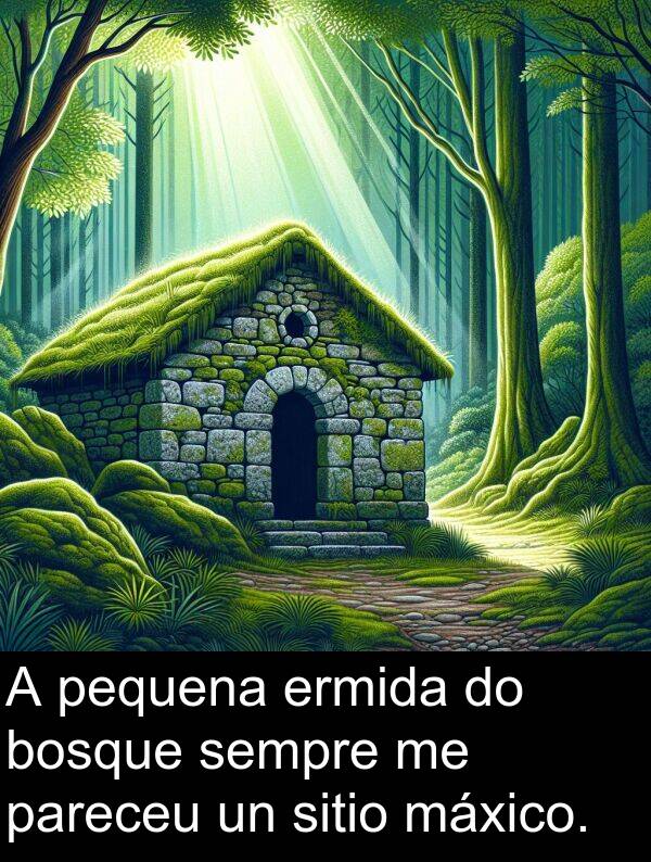 ermida: A pequena ermida do bosque sempre me pareceu un sitio máxico.