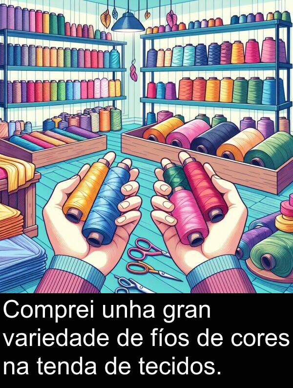 cores: Comprei unha gran variedade de fíos de cores na tenda de tecidos.