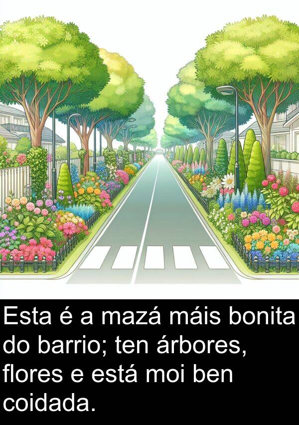 bonita: Esta é a mazá máis bonita do barrio; ten árbores, flores e está moi ben coidada.