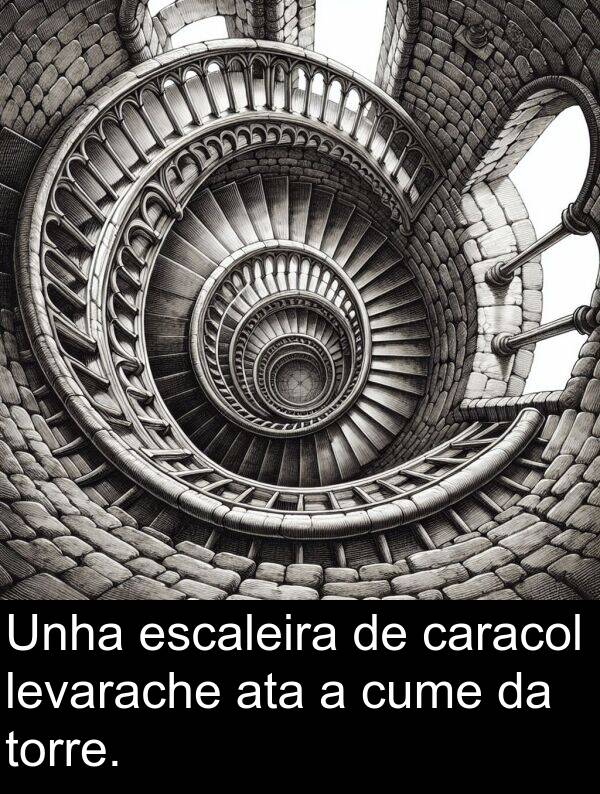 escaleira: Unha escaleira de caracol levarache ata a cume da torre.