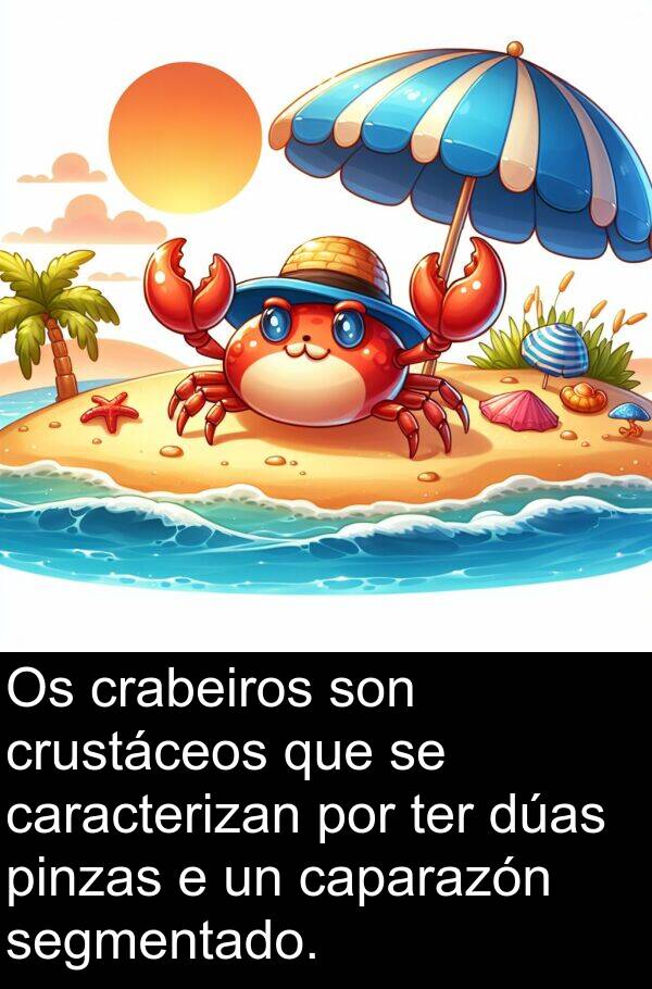 ter: Os crabeiros son crustáceos que se caracterizan por ter dúas pinzas e un caparazón segmentado.