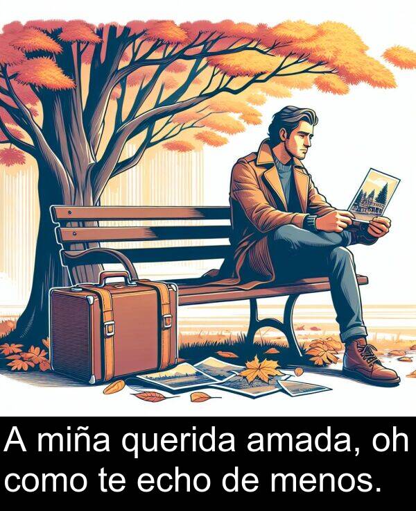 echo: A miña querida amada, oh como te echo de menos.