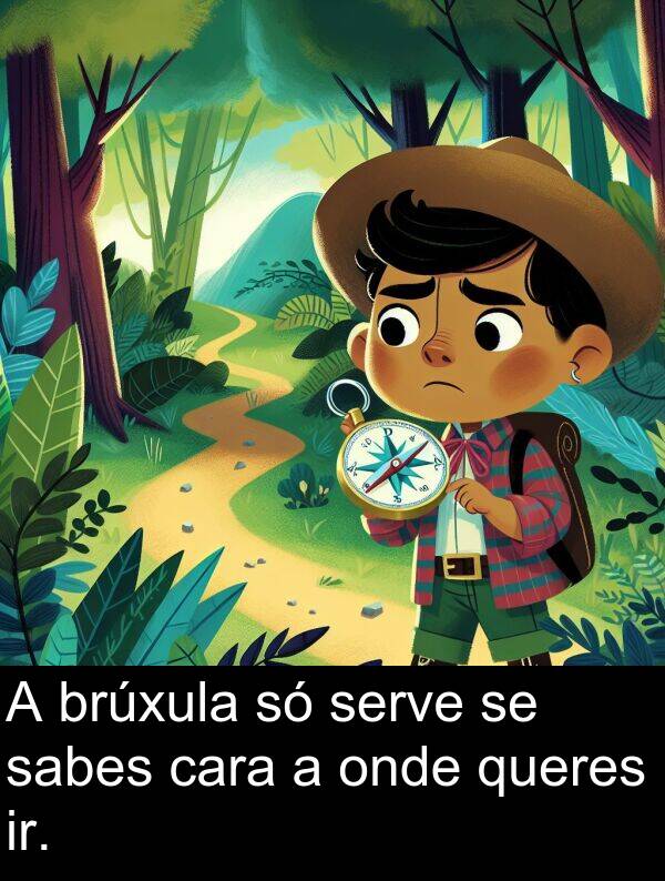 serve: A brúxula só serve se sabes cara a onde queres ir.