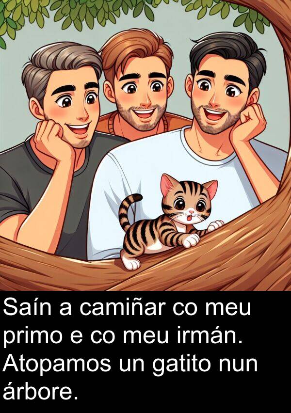 irmán: Saín a camiñar co meu primo e co meu irmán. Atopamos un gatito nun árbore.