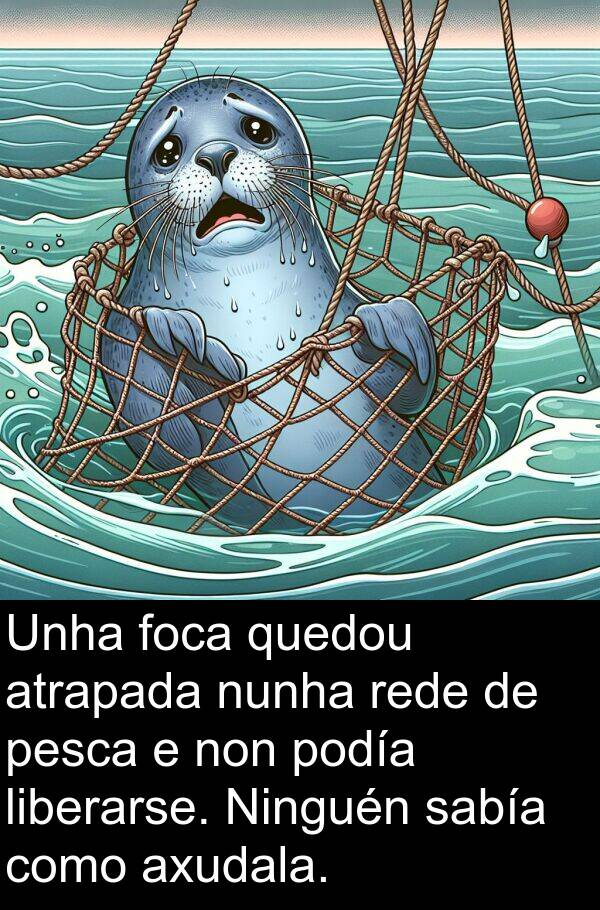 pesca: Unha foca quedou atrapada nunha rede de pesca e non podía liberarse. Ninguén sabía como axudala.