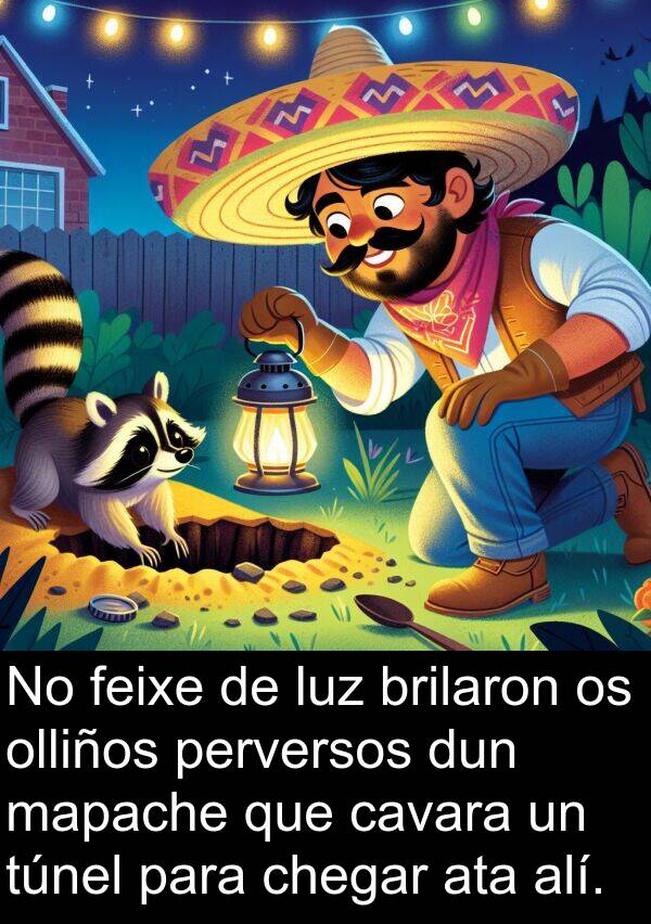 mapache: No feixe de luz brilaron os olliños perversos dun mapache que cavara un túnel para chegar ata alí.