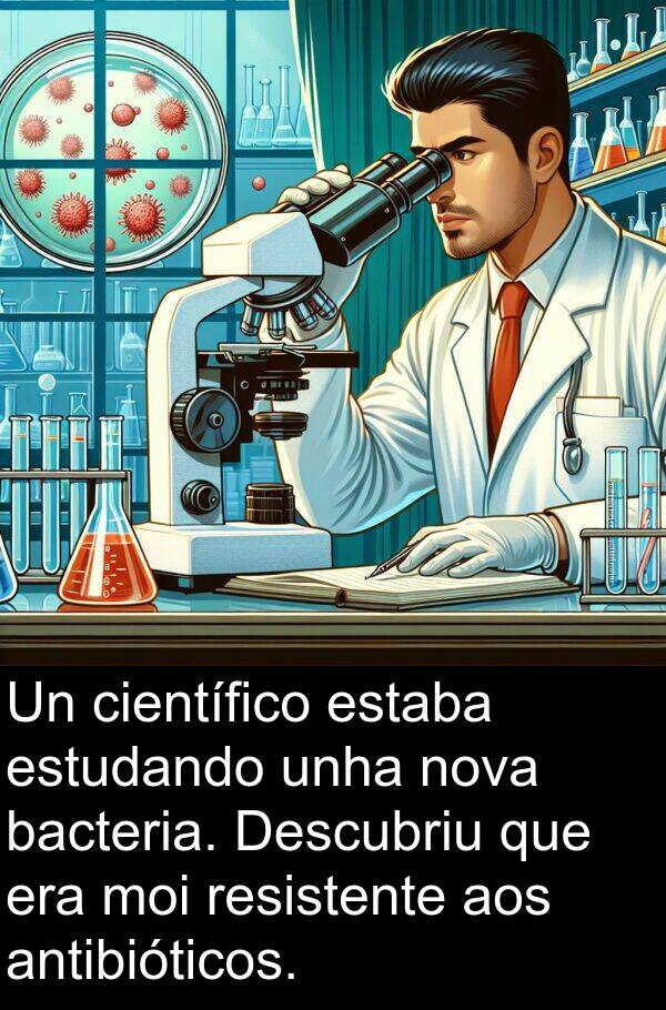 resistente: Un científico estaba estudando unha nova bacteria. Descubriu que era moi resistente aos antibióticos.